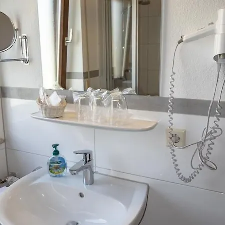 Landgasthaus Zollerstuben Penzion 3*